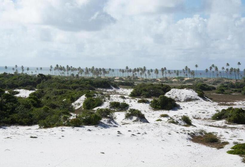 Общежитие Vila Flor Eco Centro