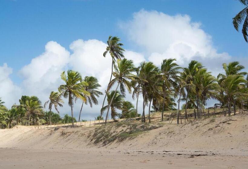 Общежитие Vila Flor Eco Centro