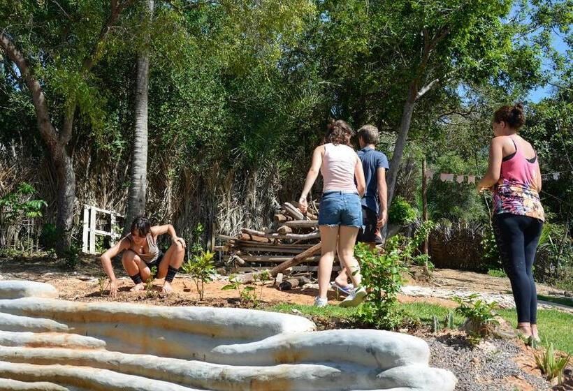 Общежитие Vila Flor Eco Centro