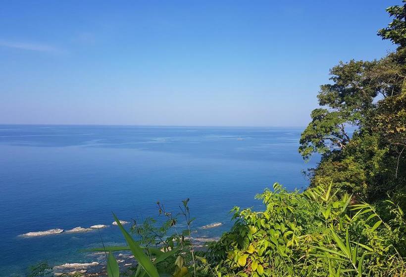 Coconut Island Resort