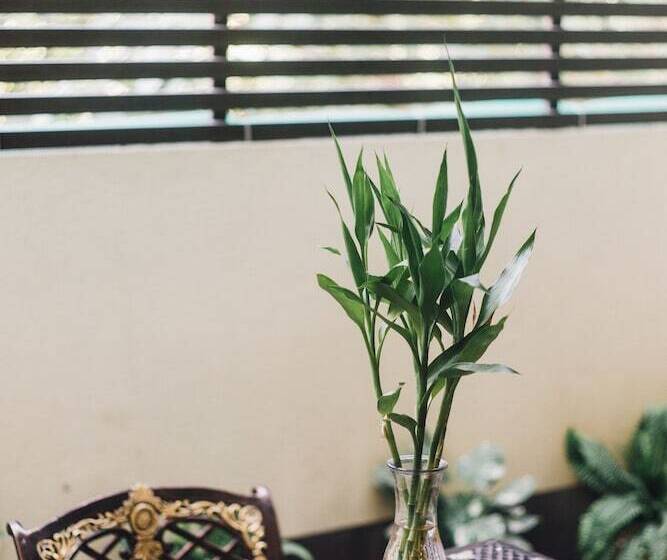 هتل Luxury Residence