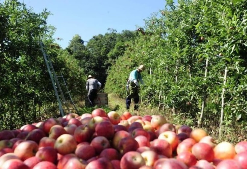 فندق Pedra Moura