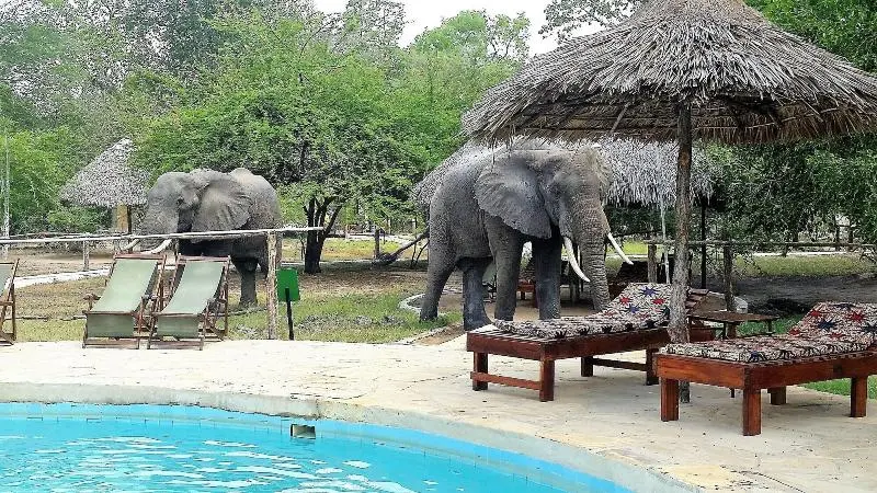ホテル Africa Safari Selous