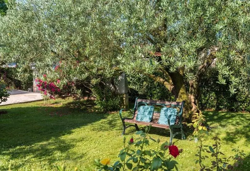 B&b Carmela