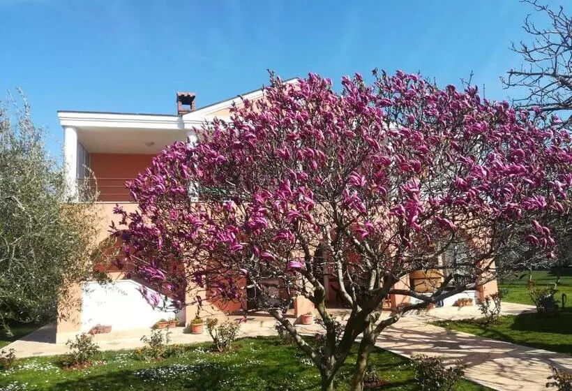 B&b Carmela