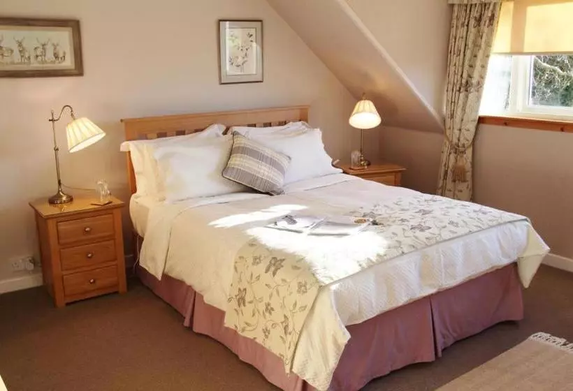 تختخواب و صبحانه Rosegrove Guesthouse