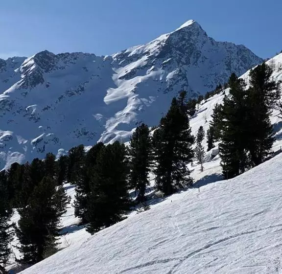 Hotelli Alp Resort Tiroler Adler