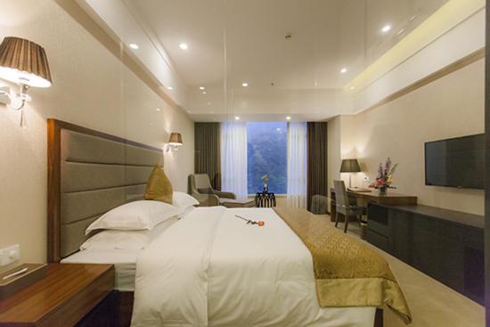 Отель Golden Plam