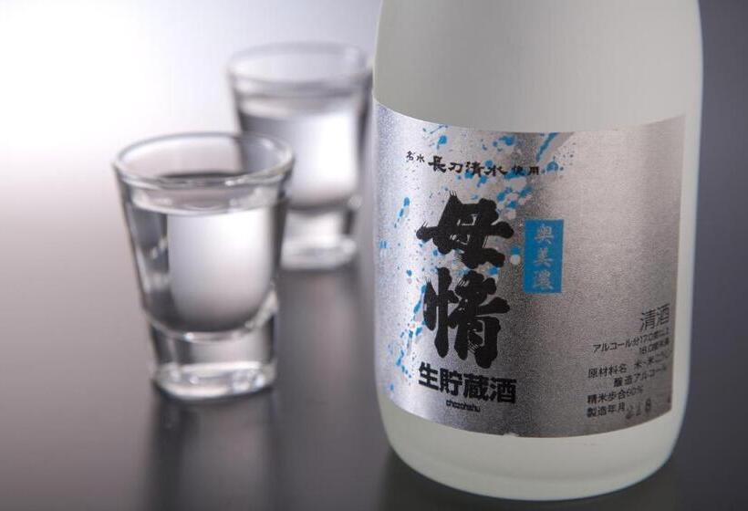 هتل Gujo Hachiman