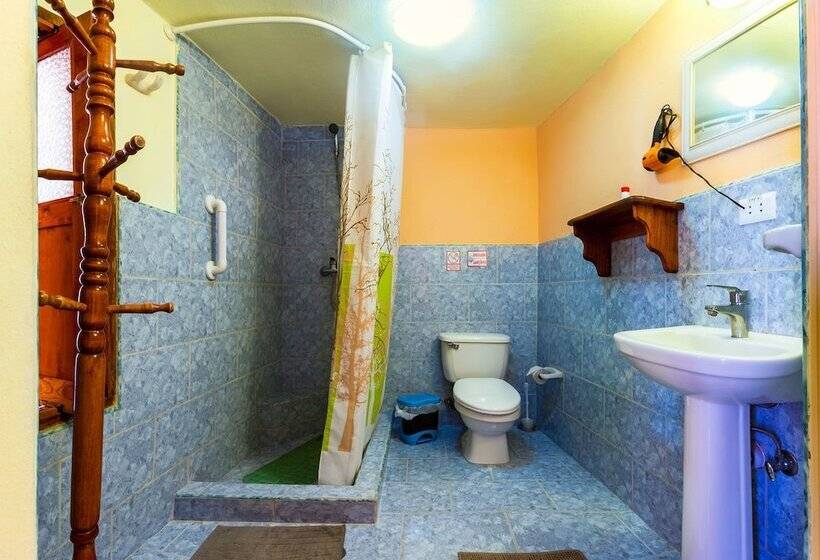 هتل Hostal Groning