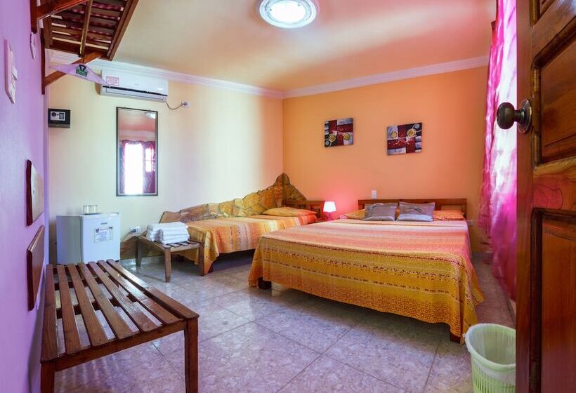 هتل Hostal Groning