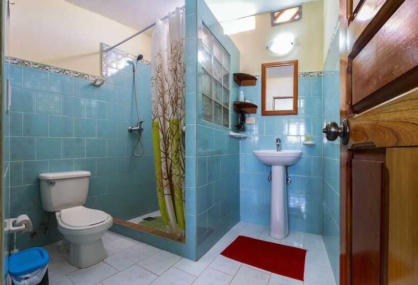 هتل Hostal Groning