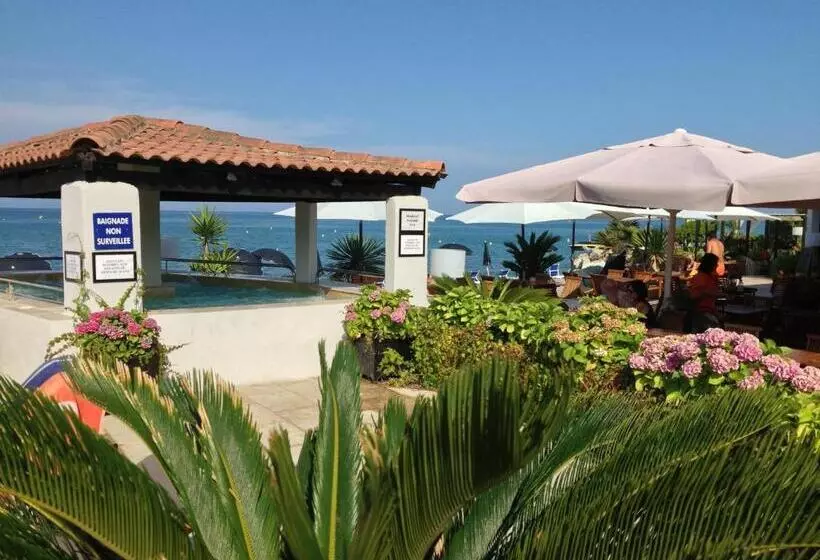 Hotelli Hôtel Pineto