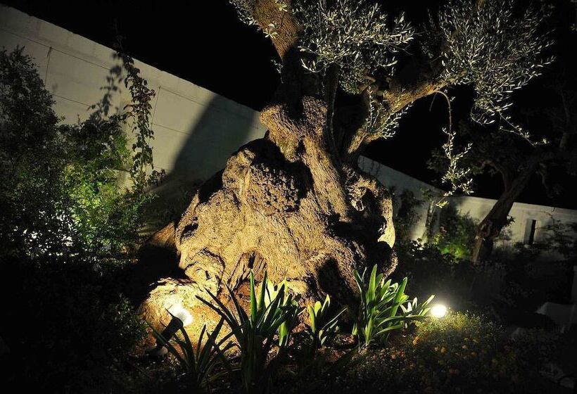 هتل Masseria Santa Teresa