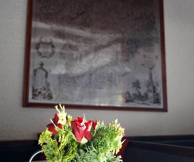 هتل Pension Heidi