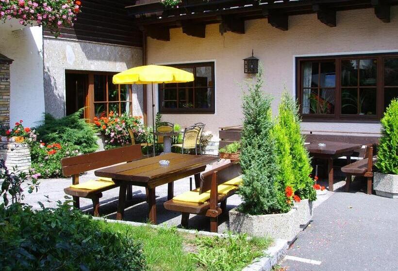 هتل Pension Heidi