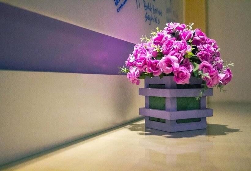 فندق D  Calia Tarakan