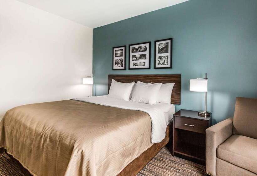 Отель Sleep Inn