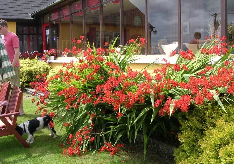 Aamiaismajoitus (B&B) Findus House