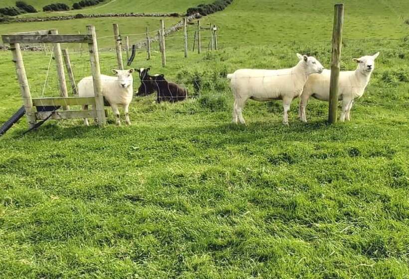 تختخواب و صبحانه Valley Lodge