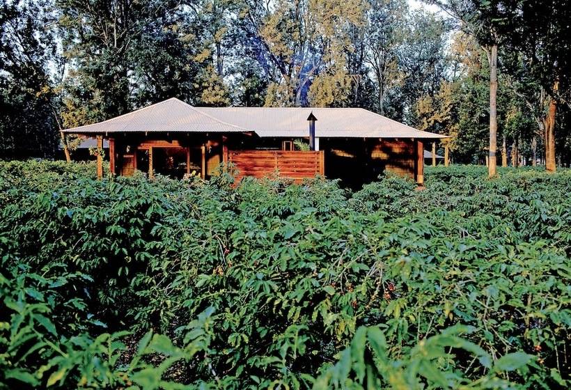 酒店 Elewana Arusha Coffee Lodge