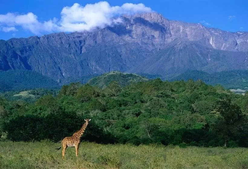 هتل Elewana Arusha Coffee Lodge