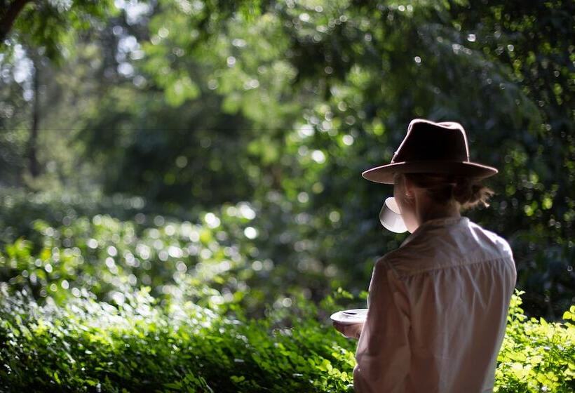 酒店 Elewana Arusha Coffee Lodge