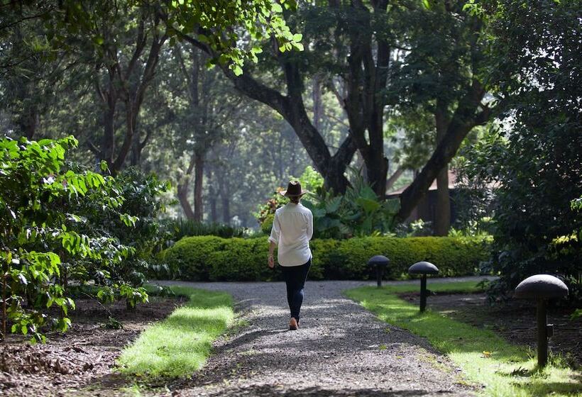 酒店 Elewana Arusha Coffee Lodge