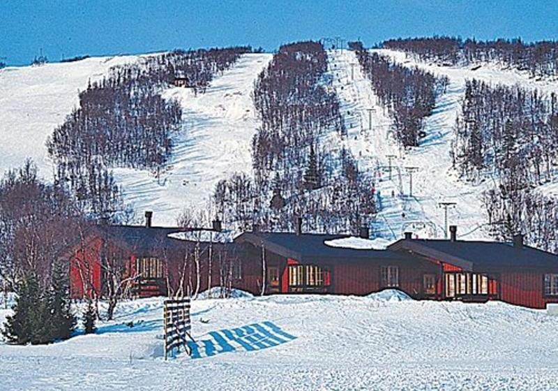 Отель Fjälllien