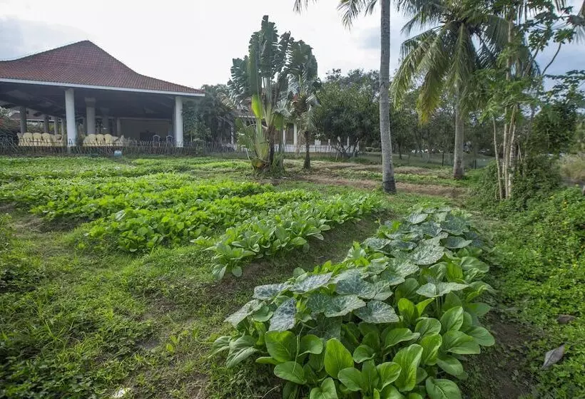 ホテル Pearl River Nantian Hot Spring Resort