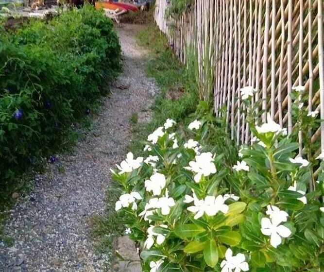 ホテル Phi Phi Sunset Bay Resort