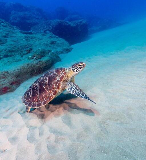 酒店 Sodwana Bay Lodge Dive & Fishing Resort