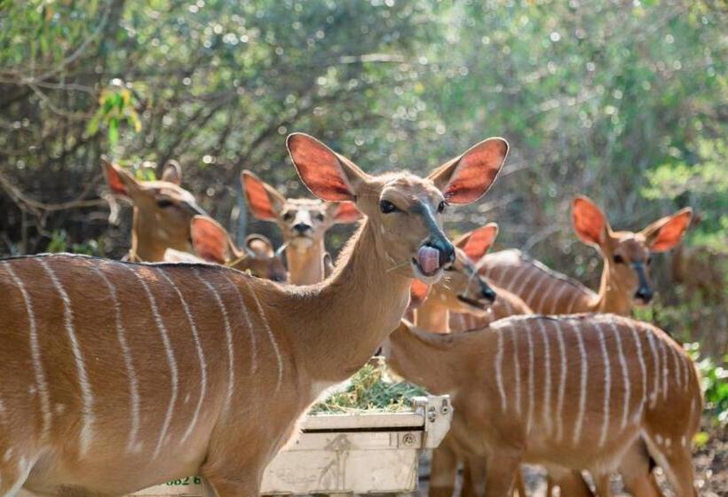 酒店 Sodwana Bay Lodge Dive & Fishing Resort