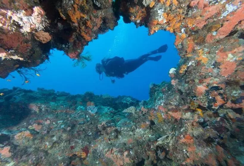 Hotelli Sodwana Bay Lodge Dive & Fishing Resort