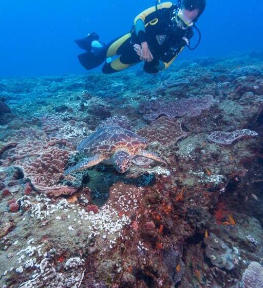 酒店 Sodwana Bay Lodge Dive & Fishing Resort