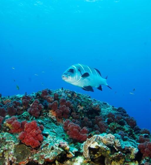 酒店 Sodwana Bay Lodge Dive & Fishing Resort