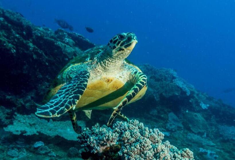 酒店 Sodwana Bay Lodge Dive & Fishing Resort