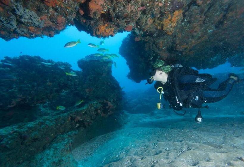 酒店 Sodwana Bay Lodge Dive & Fishing Resort