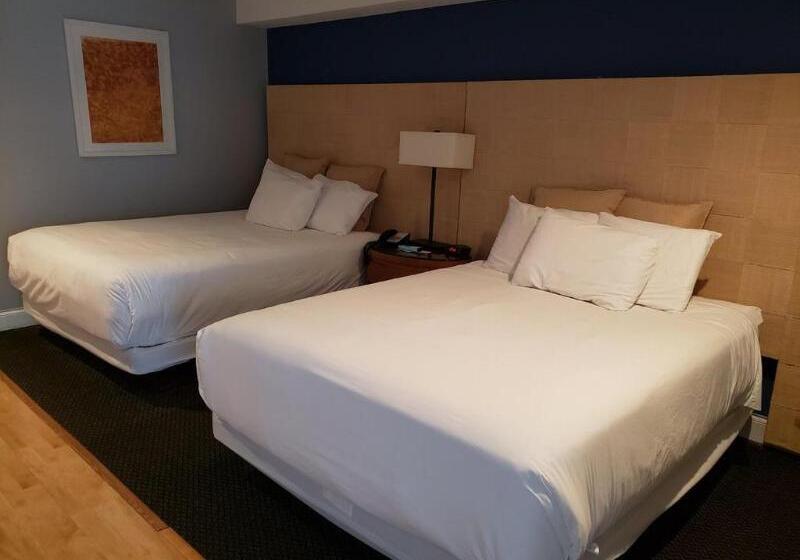 فندق Trade Winds On The Bay