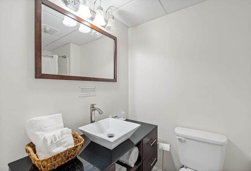 فندق Trade Winds On The Bay