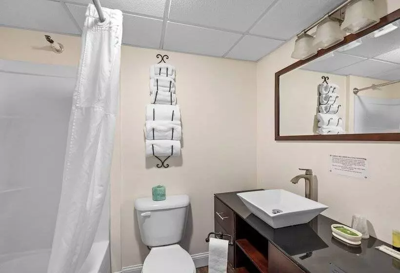 Hotelli Trade Winds On The Bay