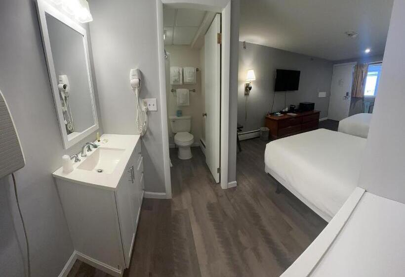 فندق Trade Winds On The Bay