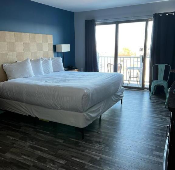 فندق Trade Winds On The Bay