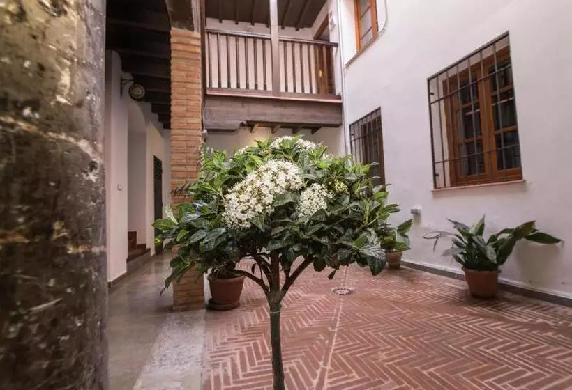 Apartamentos Nahira Suites 3000