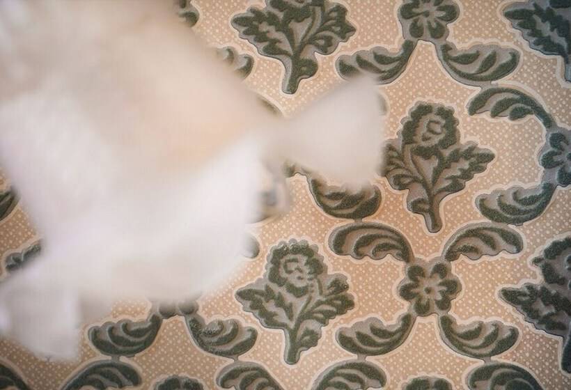 호텔 La Villa Balat