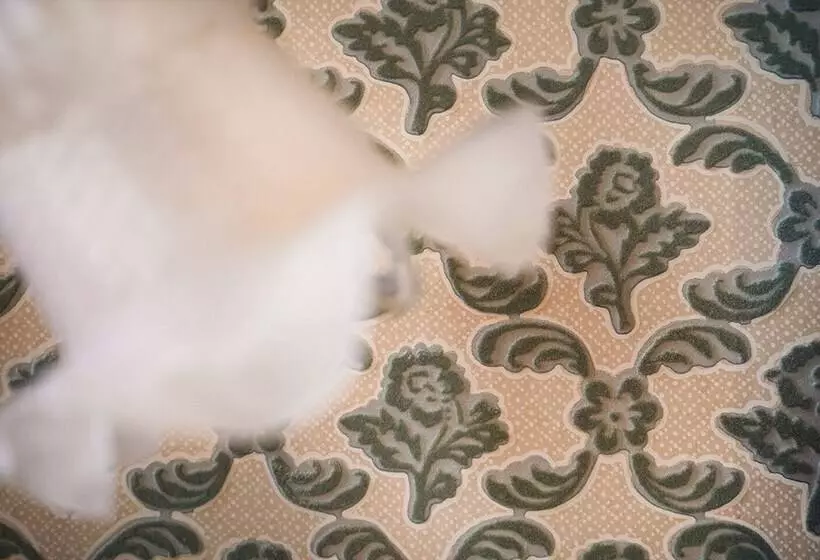 هتل La Villa Balat