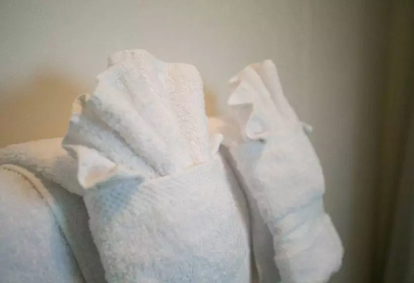 Hotelli Lou And Francis Guesthouse