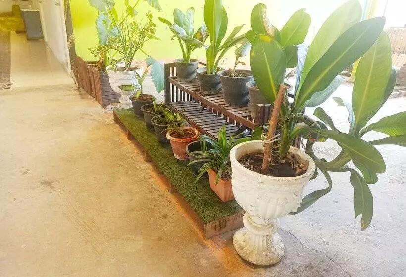 ホテル Nu Phuket Airport Residence
