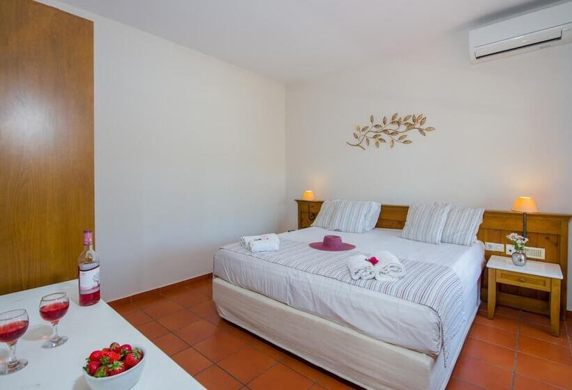 בית מלון כפרי Omega Platanias