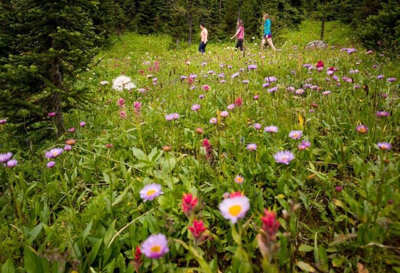 هتل Sunshine Mountain Lodge